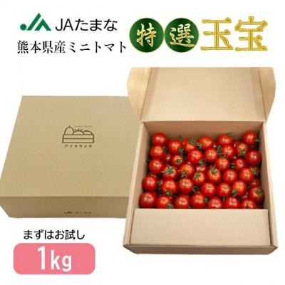 ふるさと納税 玉名市 [先行受付]特選ミニトマト「玉宝」 お試し1kg