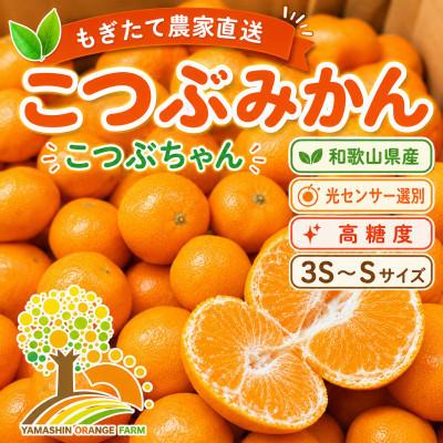 ふるさと納税 美浜町 [訳あり]ちっちゃな有田みかん 3S〜S 約5kg (nuk004-sc-5)