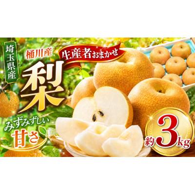 ふるさと納税 桶川市 桶川産の梨 3kg