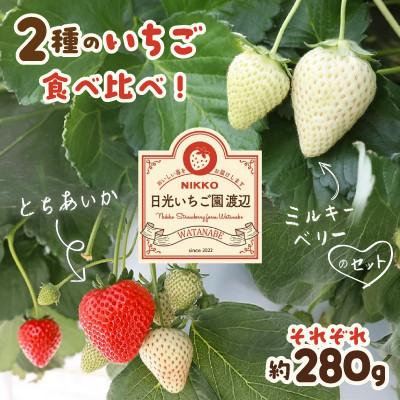 ふるさと納税 日光市 2種食べ比べ!人気のとちあいか、ミルキーベリーのセット[各約280g]
