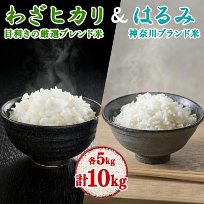 ふるさと納税 伊勢原市 [先行受付]令和8年産ブレンド米「わざヒカリ」と「はるみ」の10kg食べ比べセット 各5kg