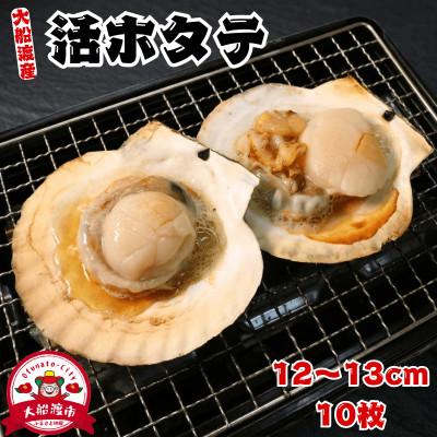 ふるさと納税 大船渡市 活ホタテ10枚(12〜13cm)[enzen004_1]