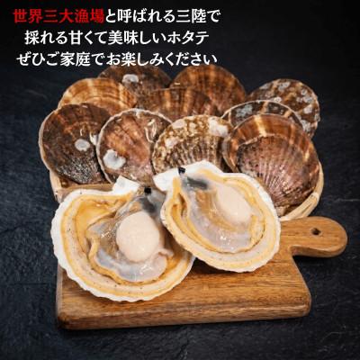ふるさと納税 大船渡市 活ホタテ10枚(12〜13cm)[enzen004_1] |  | 01