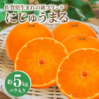 ふるさと納税 多久市 佐賀県産にじゅうまる(みかん) 約5kg バラ入り(多久市)