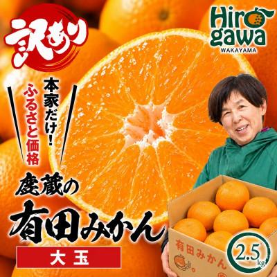 ふるさと納税 紀美野町 家庭用 大きな有田みかん 2.5kg+250g(傷み補償分)[光センサー選果][訳あり]