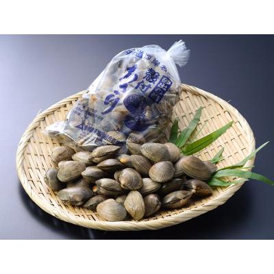 ふるさと納税 厚岸町 【4月中旬から6月限定発送】天然!殻あさり(大) 1.5kg(500g×3パック) |  | 01