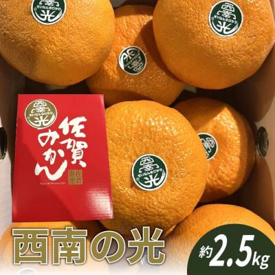 ふるさと納税 多久市 西南の光(みかん)約2.5kg[化粧箱入り](多久市)