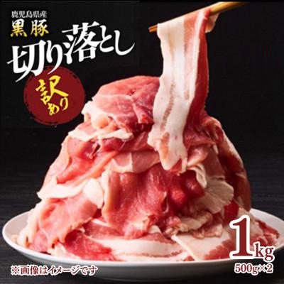 ふるさと納税 鹿屋市 [訳あり]鹿児島県産黒豚 切り落とし1kg(500g×2パック)
