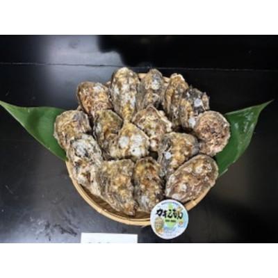ふるさと納税 厚岸町 【生食用】「カキえもん」LLサイズ×20個 北海道厚岸町産 殻付牡蠣 (カキナイフ付) |  | 02