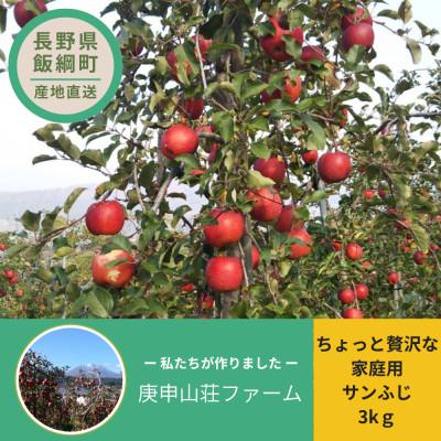 ふるさと納税 飯綱町 庚申山荘ファーム りんご ちょっと贅沢な家庭用 サンふじ 3kg(7〜12個)