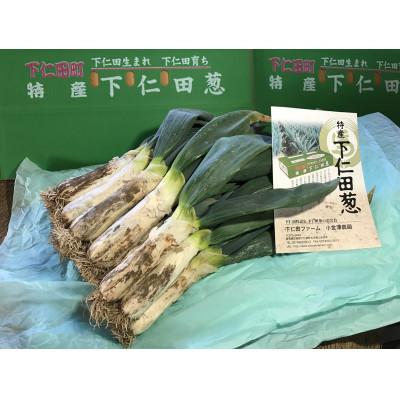 ふるさと納税 下仁田町 年末/年明けの下仁田ねぎ(葉っぱが枯れてからの下仁田ねぎ)(M 15本)F21K-724