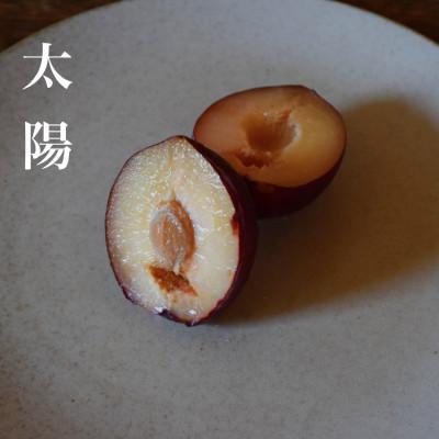 ふるさと納税 南アルプス市 [2027年発送][すもも・太陽]濃厚な味わいの貴陽生みの親のすもも 1.9kg 約10~15玉