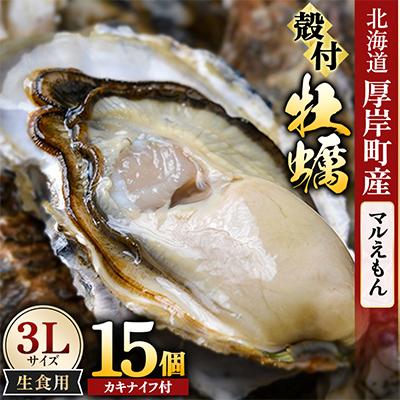 ふるさと納税 厚岸町 【生食用】「マルえもん」3Lサイズ×15個 北海道厚岸町産 殻付牡蠣 (カキナイフ付) | 