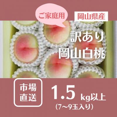 ふるさと納税 浅口市 [2027年発送]ご家庭用 訳あり 岡山県産岡山白桃7-9玉(計1.5kg以上)
