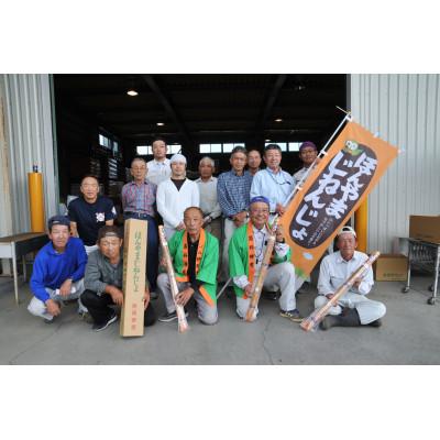 ふるさと納税 静岡市 JA静岡市ほんやまじねんじょ　Lサイズ　1本 |  | 01