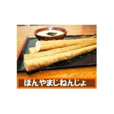 ふるさと納税 静岡市 JA静岡市ほんやまじねんじょ　Lサイズ　1本 |  | 02