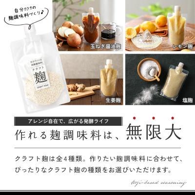 ふるさと納税 多治見市 【ヨーグルトメーカー専用】パウチで作る自家製麹調味料キット「クラフト麹スタートキット」 |  | 02