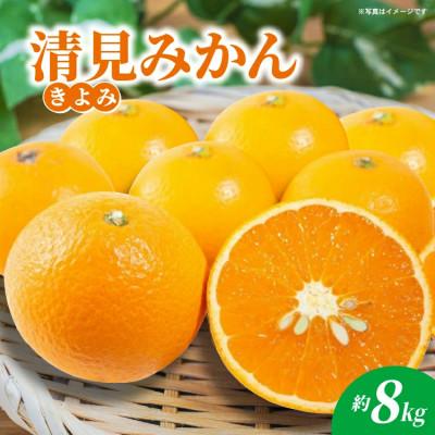ふるさと納税 多久市 [先行予約]佐賀県産 清見(きよみ)みかん 約8kg(多久市)