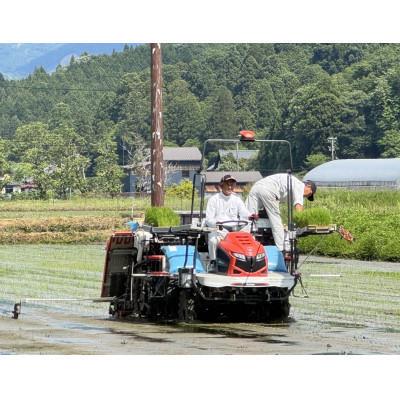 ふるさと納税 越前市 【先行受付】令和8年産 特別栽培 越前市産 ミルキークイーン  玄米　5kg |  | 01