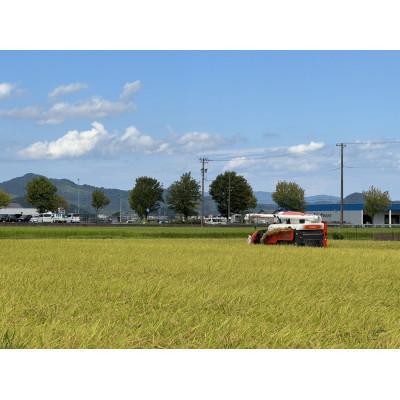 ふるさと納税 越前市 【先行受付】令和8年産 特別栽培 越前市産 ミルキークイーン  玄米　5kg |  | 02