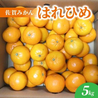 ふるさと納税 多久市 [佐賀みかん]はれひめ 5kg(多久市)