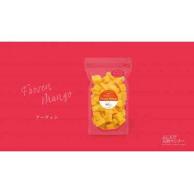 ふるさと納税 藤枝市 完熟マンゴーカット 冷凍 (500g×1)