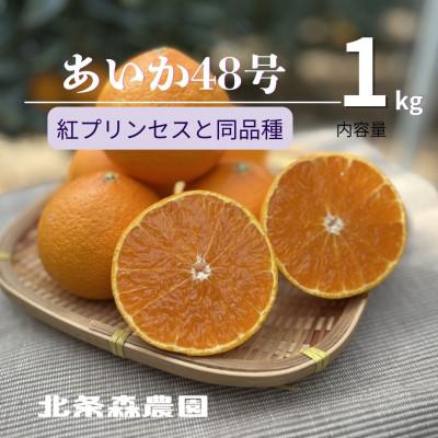 ふるさと納税 松山市 あいか48号 紅プリンセスと同品種