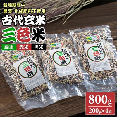 ふるさと納税 小城市 特別栽培米 古代玄米「三色米」(200g×4パック)