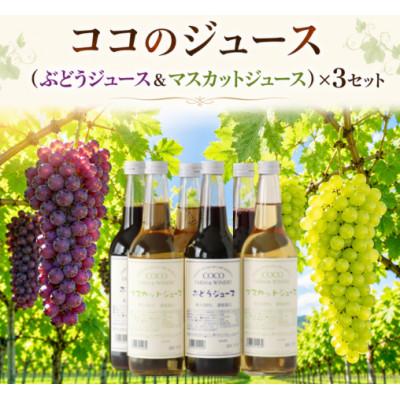 ふるさと納税 足利市 ココのジュース(ぶどうジュース&amp;マスカットジュース)×3セット