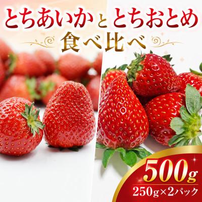ふるさと納税 真岡市 [先行受付]とちおとめ・とちあいか 食べ比べセット 500g(250g×2パック)1月より順次配送