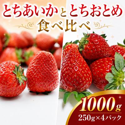 ふるさと納税 真岡市 [先行受付]とちおとめ・とちあいか 食べ比べセット 1000g(250g×4パック 各2パック)