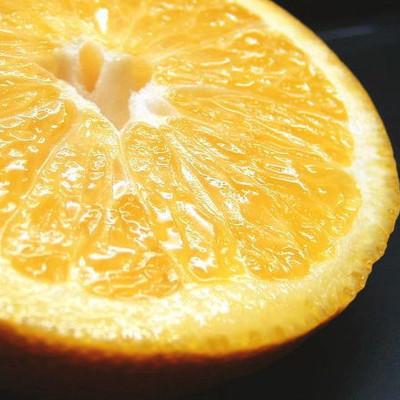ふるさと納税 湯浅町 [訳あり]八朔(はっさく) [約5kg]和歌山県有田産 春みかん サイズ混合 ご家庭用