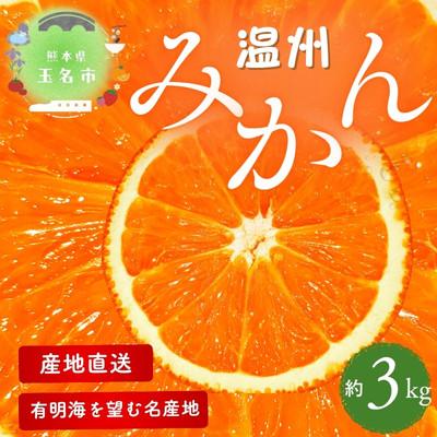 ふるさと納税 玉名市 [熊本県産] こだわりの温州みかん 約3kg