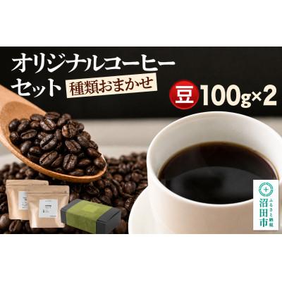 ふるさと納税 沼田市 オリジナルコーヒーセット100g×2個 [豆]