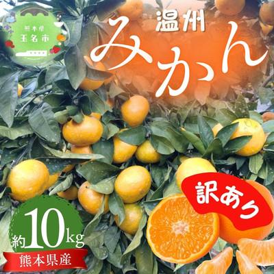 ふるさと納税 玉名市 [訳あり]熊本県産 こだわりの温州みかん 約10kg
