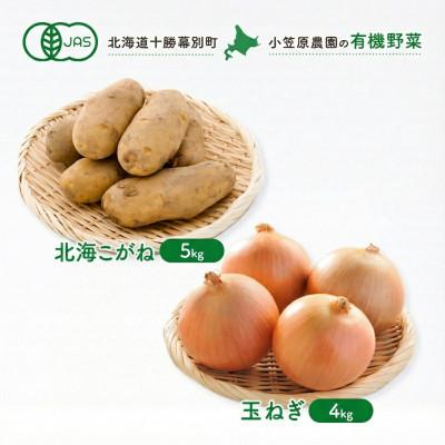 ふるさと納税 幕別町 小笠原農園の有機野菜2種詰合せ北海こがね5kg玉ねぎ4kg R8秋出荷先行予約 