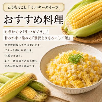 ふるさと納税 幕別町 有機とうもろこし「ミルキースイーツ」10本《2027年8月出荷開始先行予約》 [53691121] |  | 02