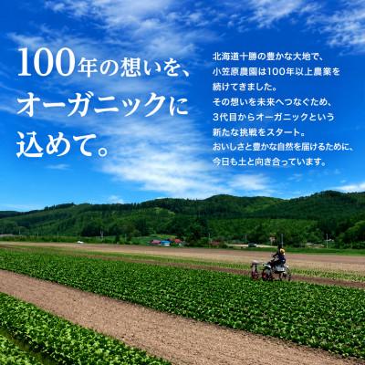 ふるさと納税 幕別町 有機とうもろこし「ミルキースイーツ」10本《2027年8月出荷開始先行予約》 [53691121] |  | 03
