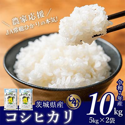 ふるさと納税 下妻市 茨城県産 コシヒカリ 10kg(5kg×2袋)[令和7年産/精米/10月中旬配送]