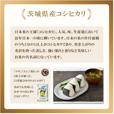 ふるさと納税 下妻市 茨城県産 コシヒカリ 10kg(5kg×2袋)【令和7年産