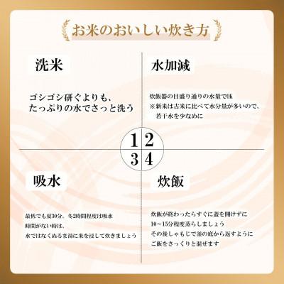 ふるさと納税 下妻市 茨城県産 コシヒカリ 10kg(5kg×2袋)【令和7年産/精米】 お米 |  | 02