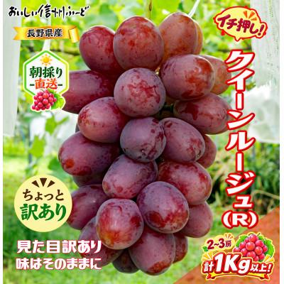 ふるさと納税 長野県 ちょっと訳あり 新鮮朝採り クイーンルージュ(R)2〜3房 計1kg以上!令和8年9月中旬〜順次発送 | 
