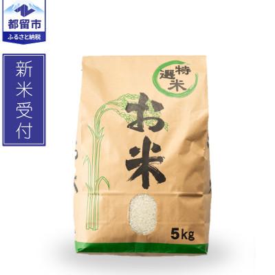 ふるさと納税 都留市 [新米予約]令和8年産 山梨県都留市産 こしひかり[5kg][先行予約]