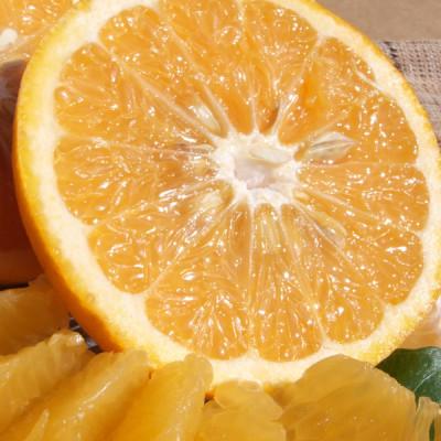 ふるさと納税 湯浅町 [訳あり]甘夏(あまなつ)[約5kg]和歌山県有田産 春みかん(サイズ混合・ご家庭用)