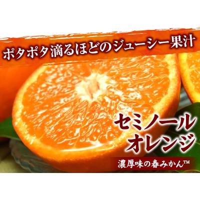 ふるさと納税 湯浅町 [訳あり]セミノールオレンジ [約5kg]和歌山県有田産 春みかん(サイズ混合・ご家庭用)