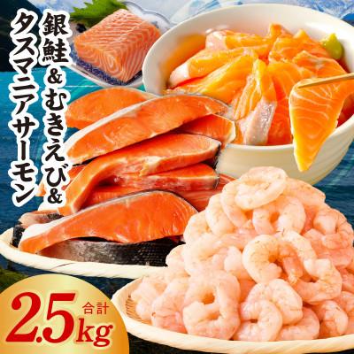 ふるさと納税 泉佐野市 銀鮭切り身 &amp; むきえび &amp; タスマニアサーモン 人気海鮮セット 総量2.5kg