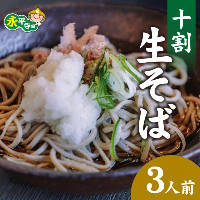ふるさと納税 永平寺町 越前十割生蕎麦 3人前 (冷凍) [ B-070001] ESHIKOTO 蕎麦 山や