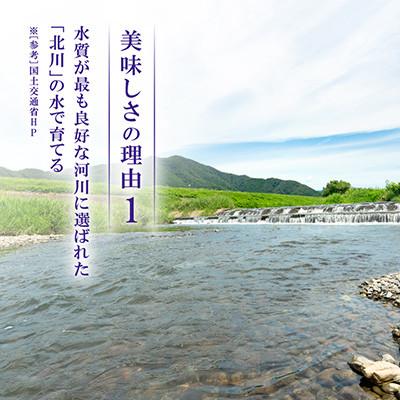 ふるさと納税 若狭町 【令和8年産先行受付】福井県若狭町 ひとめぼれ(1等米)　5kg |  | 01