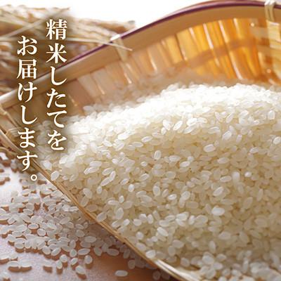 ふるさと納税 若狭町 【令和8年産先行受付】福井県若狭町 ひとめぼれ(1等米)　5kg |  | 03
