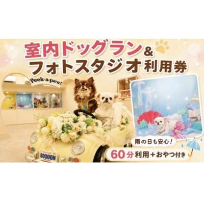 ふるさと納税 藤沢市 BOOOON湘南辻堂 ふるさと納税限定プラン 60分利用券(わんちゃん用おやつ付き)